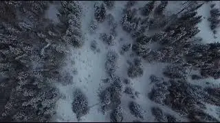Зимняя сказка в весеннем Алтае 😍