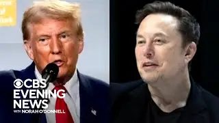 Trump proposes placing Elon Musk in charge of a government efficiency commission