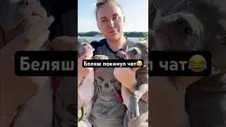 Два очаровательных щенка ждут своих хозяев 😇Беляш покинул чат 🤣
