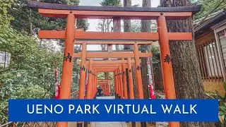 Ueno Park Under The Cherry Blossoms Virtual Walk