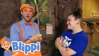 Blippi Meets Reptile Friends! | Blippi Educational Videos | Kids Show | Toddler Learning Cartoons