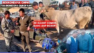 Срочно бинед Дехконбача Сири Гов бизнесора ошкор намуд.Нархи як Гов 30 хазор сомон 19.10.2024