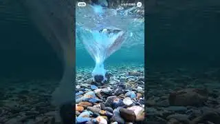 an underwater wonderland