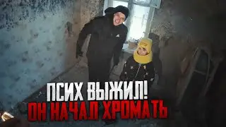 ПСИХ ВЫЖИЛ! ОН НАЧАЛ ХРОМАТЬ // ЧТО ОН ХОЧЕТ ОБСУДИТЬ С МАКСОМ ВАЩЕНКО!?