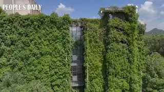 12-story library relishes the fresh and green allure of growing creeper plants in SW China