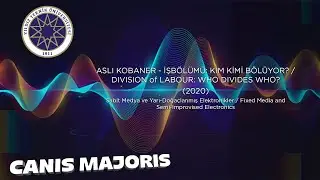 Aslı Kobaner - Division of Labour: Who divides Who? : Canis Majoris 2020