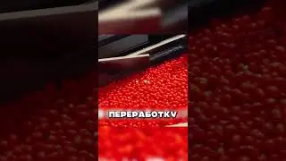 САМЫЙ БОГАТЫЙ ДАГЕСТАНЕЦ 😳🍅
