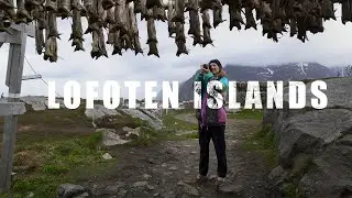 THIS IS THE NORMALITY OF LOFOTEN AND NORTH CAPE 👀 – 10  DAYS ROAD TRIP 🚗🏔️🌊