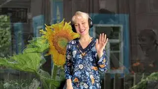 Стоят девчонки