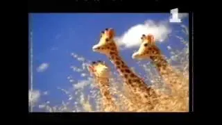 Huggies  uk advertisement 1995