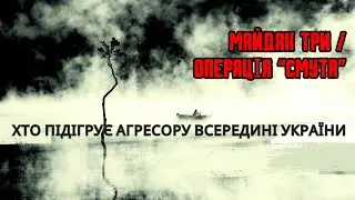 Який план транзиту влади у тих, хто хитає човна? Внутрішня дестабілізація. Вігірінський