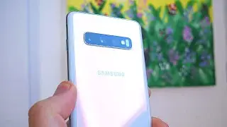 Samsung Galaxy S10 1 Year Later!