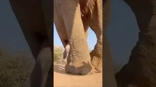 🐘Заработок на бинарных опционах...