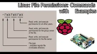 file permissions in linux with examples(raspberry pi) | Chown, Chgrp and Chmod commands in Linux