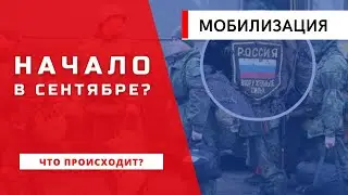 Гудков: Массовая мобилизация стартует в сентябре