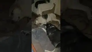 Ночи они такие🥰 