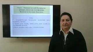 Mavzu: Makroiqtisodiy beqarorlik: inqiroz ishsizlik va inflyatsiya. Ishchi kuchi va uning bandligi