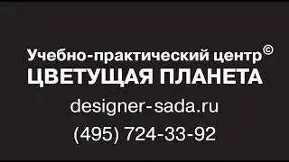 ЖАРКИЙ ДЕНЬ в питомнике «Ниваки»
