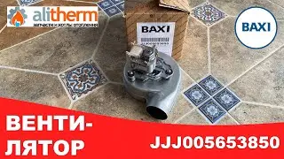 Вентилятор BAXI LUNA 24 5653850