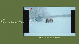лошадки на прогулке