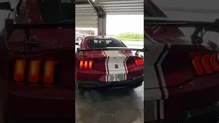 2024 Shelby Super Snake Mustang Startup! 🏎️