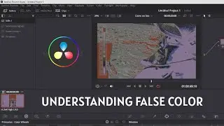 THE BTS SHOW - FALSE COLOR