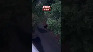 ПЬЯНЫЙ ШИЗ 