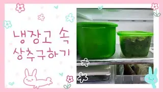 [정리추천템]니 상추가 싱싱하겠니? 난 부럽지가 않어🤣🤣