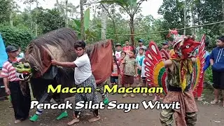 Keblak-Keblak !! Pencak Silat Sayu Wiwit Live Tanah Los Taman Sari