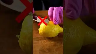 What would you call these?