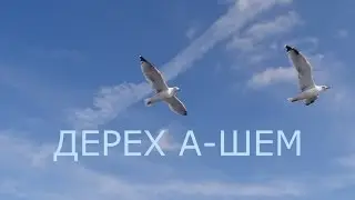 Дерех а-Шем 8-й Урок 