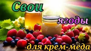 Достойная альтернатива сублимированным ягодам🍓🍒🫐