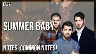 How to play Summer Baby by Jonas Brothers on Tin Whistle (Tutorial)