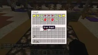 Minecraft Asylum : Flowers & Withers