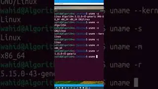 Linux Ubuntu Virtual Machine: Get the system information using ‘uname options’