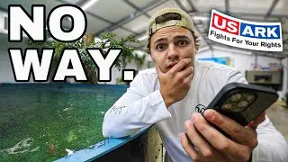 They’re Taking ALL My Fish…