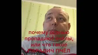 Почему осенью пропадают пчёлы, или что такое ПАРАЛИЧ ПРЧЁЛ.