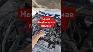 По цене Соляриса и Поло!
