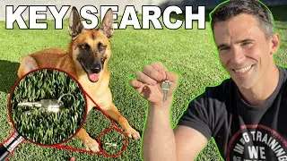Key Search Trained in One Day! Dog Training!