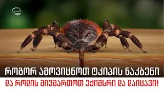 როგორ ამოვიცნოთ ტკიპის ნაკბენი და როდის მივმართოთ ექიმს