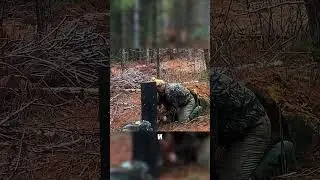 рысь в капкане застряла и её спасли