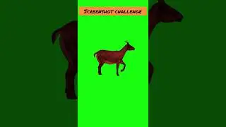 Deer Screenshot challenge #animal #fun #game #challangeforyou #screenshotchallenge