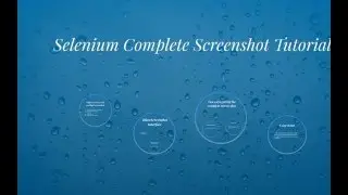 Selenium Screenshot 1
