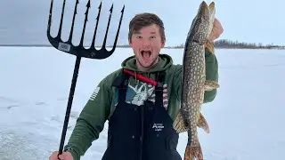 Darkhouse Spearing Pike Through The Ice!