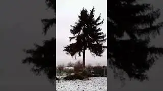 27 августа 2019 г.