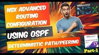NSX Advanced Routing Configuration using OSPF with Deterministic Peering or Named Teaming Policy