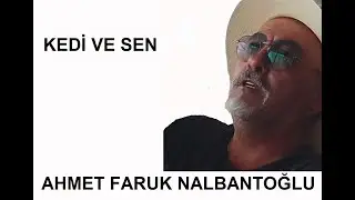 Ahmet Faruk Nalbantoğlu | Kedi ve sen [Şiir]