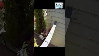 Get Out Of There (Caught on Ring Cam)