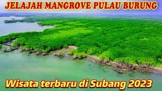 JELAJAH MANGROVE PULAU BURUNG!! TEMPAT WISATA DI SUBANG JAWA BARAT YANG LAGI HITS | WISATA SUBANG‼️