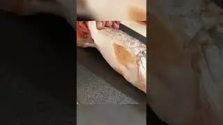 Приехал С Рыбалки И Привёз ЭТО 😱🔥👍
